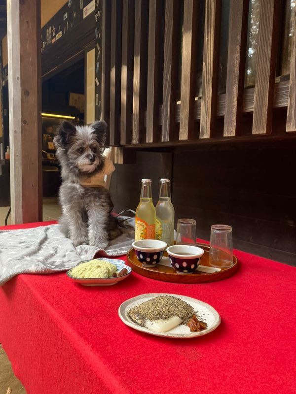 江戸時代から続く老舗「甘酒茶屋」。昔ながらの製法で作られた無添加の甘酒と、炭火で焼いた力餅が絶品。アクセスはホテルから車で7分程 / 3