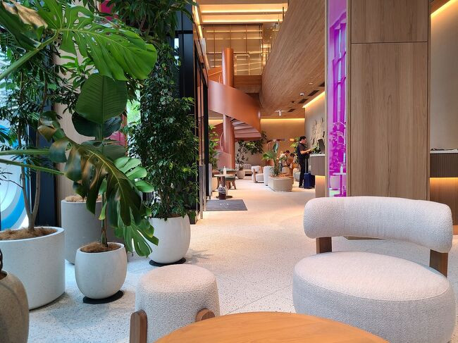 フロントロビーの様子