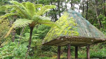 施設の敷地 / 26