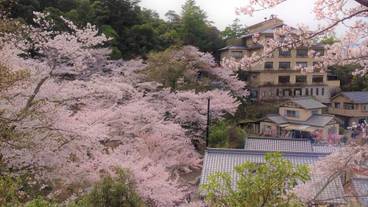 施設の敷地 / 18