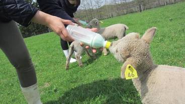 フィットネス設備 / 2