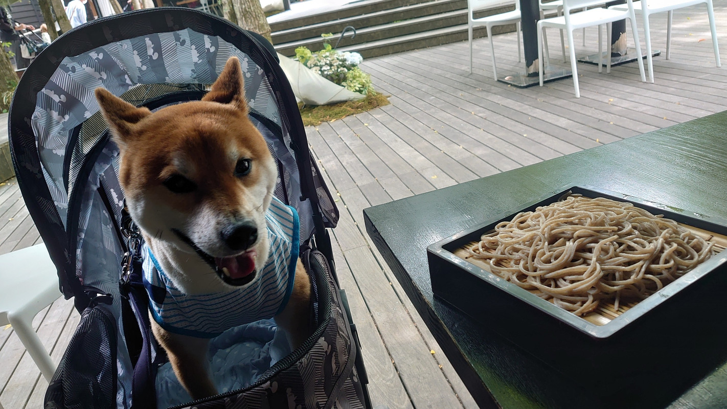 pinky.yuki_go.kam2さんの写真 / 3