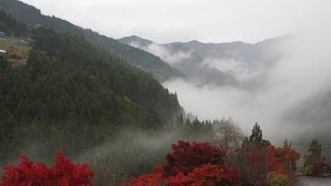 施設からの眺望 / 7