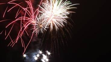 レストラン / 12