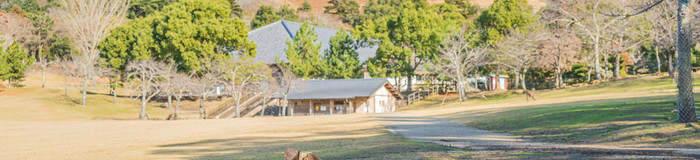 【奈良】女子一人旅で泊まりたいホテル｜おしゃれな “だけじゃない” 6選