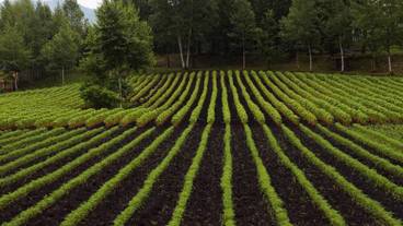 施設の敷地 / 24