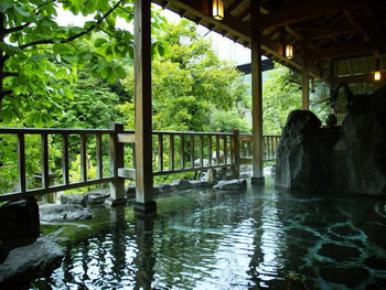 全室、源泉かけ流しのお風呂つき。大川渓谷の大自然でリフレッシュ4249754