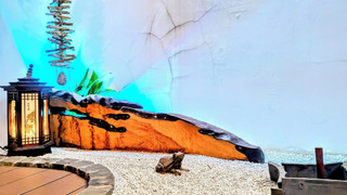 スイート　（セミダブルベッド2台、布団2組）