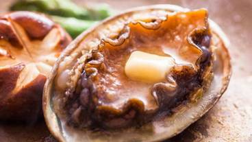 レストラン / 14