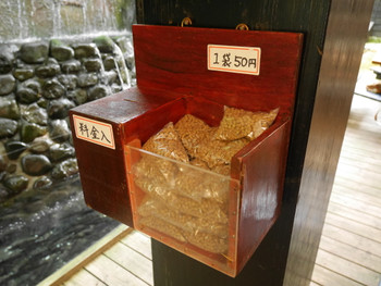 長寿庵　開聞唐船峡店630958