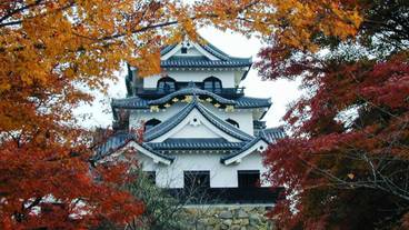 観光スポット / 10