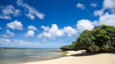 施設からの眺望 / 35