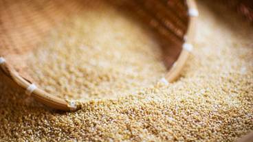 食事・飲み物 / 3