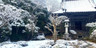 竹林院群芳園