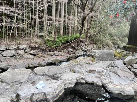 秘境七滝 お宿 華坊 / 3