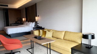 プレミア ルーム キングベッド 1 台 禁煙 パークビュー (Balcony)