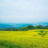 創作料理が自慢の宿 会津 喜多方 熱塩温泉 山形屋（福島県 旅館） / 3