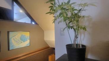 リビング エリア / 9