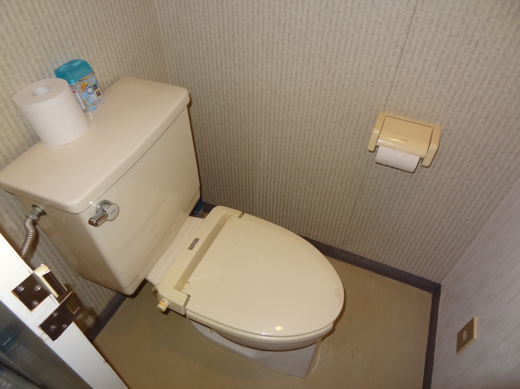 客室にトイレはないので共用トイレ(ウォッシュレット無)。