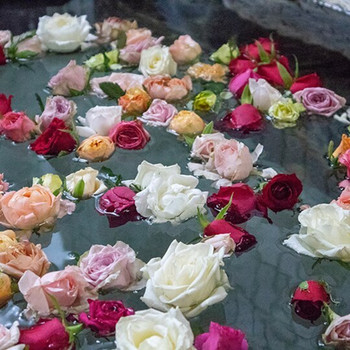 摘みたてのバラがひしめく貸切の岩風呂3703560