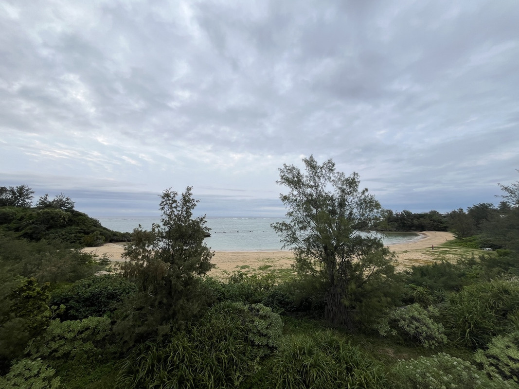 お部屋からの眺め