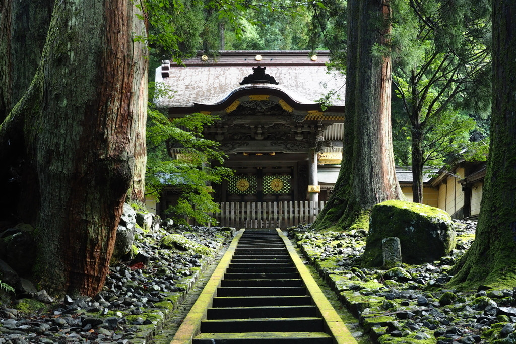加賀温泉郷で癒しのひと時を3696589