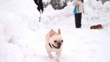 施設の敷地 / 16