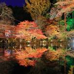 11月の京都ならではの紅葉や祭りは見逃せません！厳選した7つのイベントを紹介