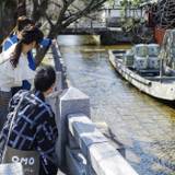 京町らんまん川さんぽ / 1