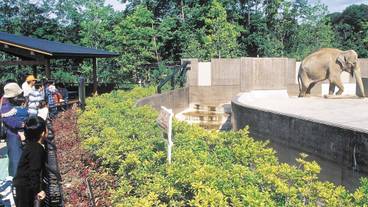 観光スポット / 11