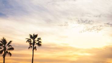 ビーチ / オーシャン ビュー / 24