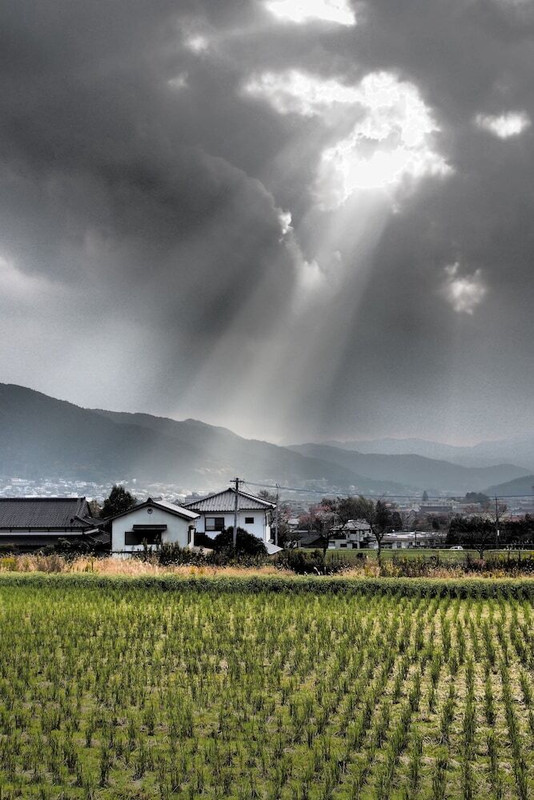 マウンテン ビュー