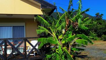 テラス / パティオ / 11