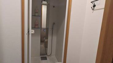 手持ち式のシャワーヘッド / 1