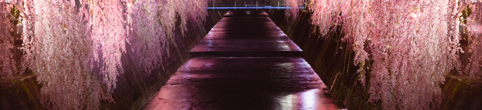 【天童温泉】意外と近い!山形の名湯でカップル温泉旅。おすすめ旅館8選