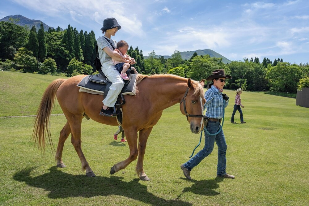 乗馬