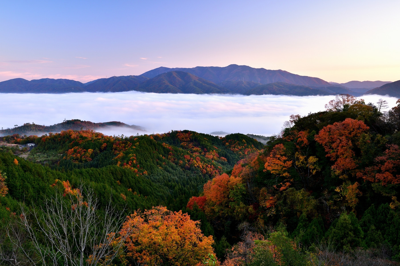 亀岡盆地の雲海