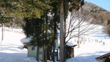 スノー スポーツとスキー / 1