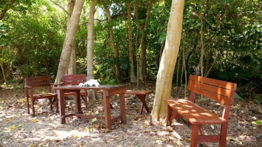 テラス / パティオ