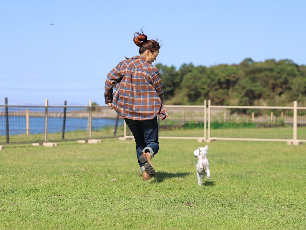 ドッグラン