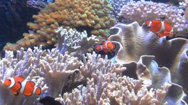 観光スポット / 12