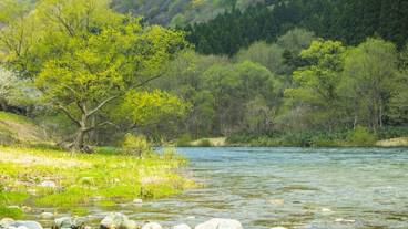 ハイキング / 11