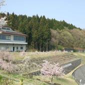 いこいの村ヘリテイジ美の山（埼玉県 リゾートホテル） / 4