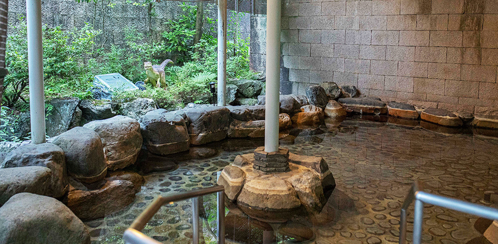 お部屋がまるごと遊び場のよう! 夢いっぱいの「恐竜ルーム」4754742