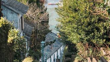 シティ ビュー / 7