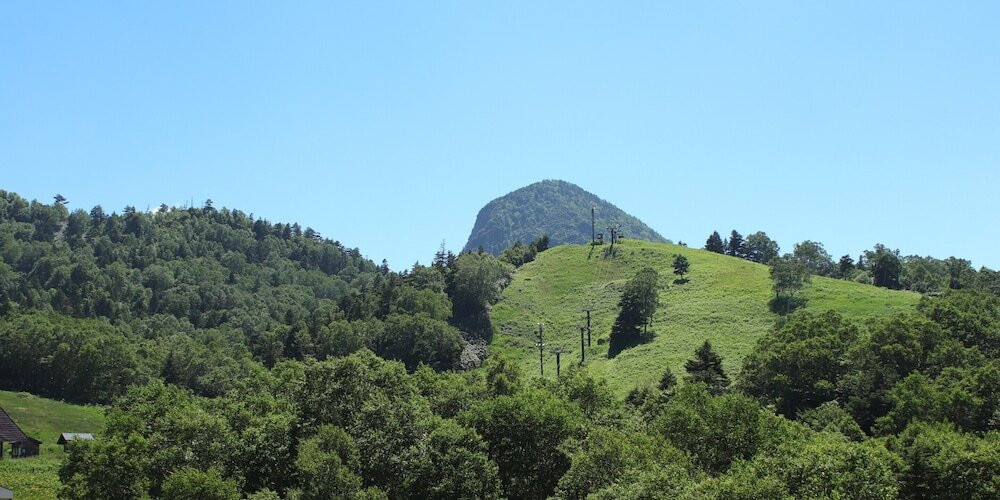 バルコニーからの眺望