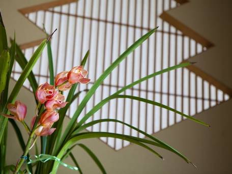 日の出屋旅館（静岡県） / 5