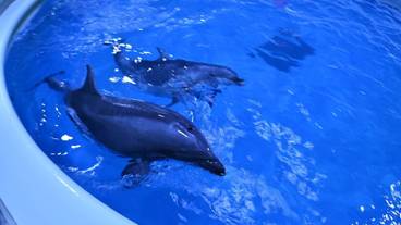 観光スポット / 4