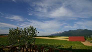 テラス / パティオ / 11