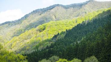 ハイキング / 12